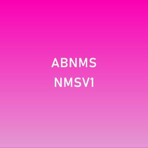 AB.NMS[II], Vol. I