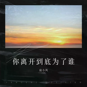 你离开到底为了谁