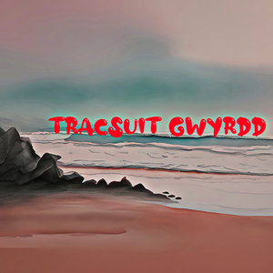 Tracsuit Gwyrdd