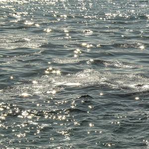 你呢（翻自 沙一汀EL）