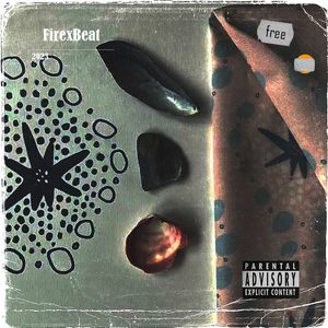 【FREE】''Seashell''