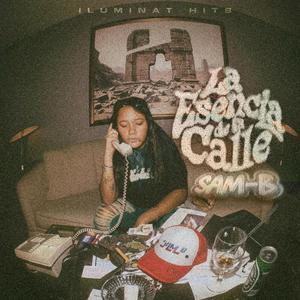 Asi soy (feat. Skeder, Yox & Rhinox)