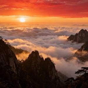 就让我爱你 (Cover 杨青)