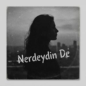 Nerdeydin De