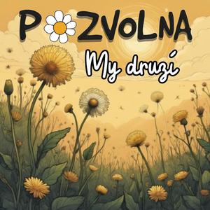 My druzí