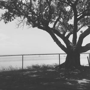 姑娘，今夜我不想睡觉，只想睡你（翻自 风子）