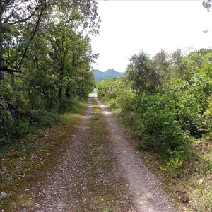 Cooler in the Shade 1 (Live)