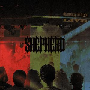 Spermicide (Live) (Live)