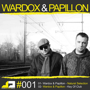 Natural Selection (Original Mix)
