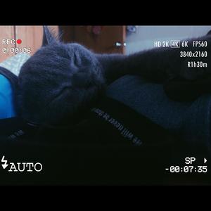 遨游黑洞不慎坠入银河