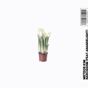 Narcissism (feat. Anandelight)
