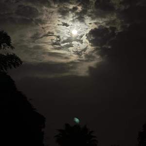 多云天气过了总该到晴天了-01