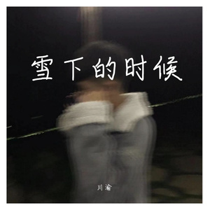 雪下的时候2022热搜（川渝 remix）