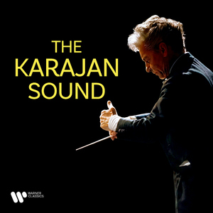 Variations on a Theme by Haydn, Op. 56a "St. Antoni Chorale":Variation I. Poco più animato