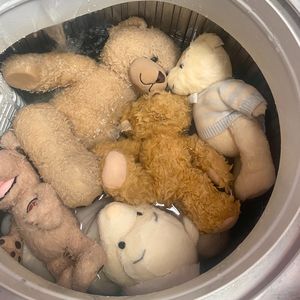 Ay Mi Gatito(4% EDIT)