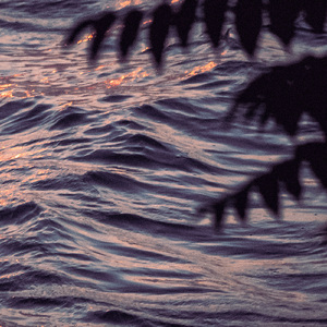 A Night's Found Comfort