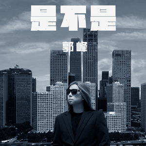 是不是 （新编版）