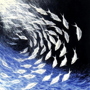 舍不得删的过期天气