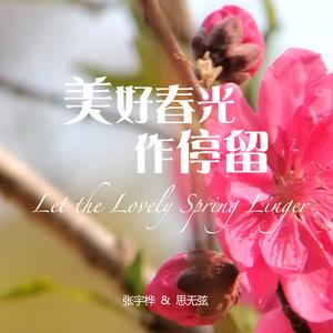 美好春光作停留 (古琴版)