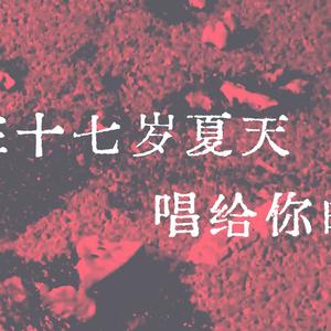 想在17岁夏天唱给你的歌