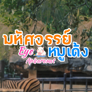 มหัศจรรย์หมูเด้ง
