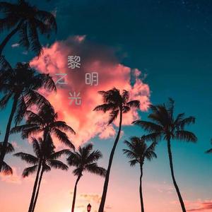 黎明之光(纯音乐)