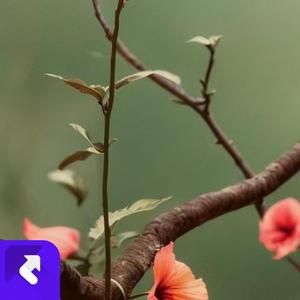 梦里画江山 (现场)