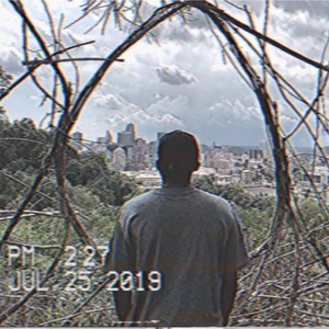 Where the Wilde Things Are