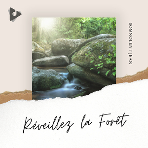 Oiseaus l'amour Piano