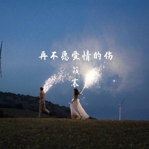 再不愿受情的伤