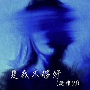 是我不够好（旋律DJ）