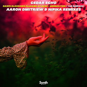 Benediction (Nipika Remix)