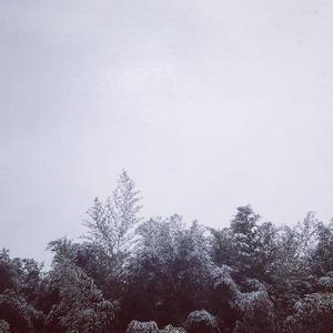 致你 ：所爱（翻自 王北车）