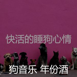抚慰的幼犬回忆