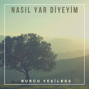 Nasıl Yar Diyeyim (Live)