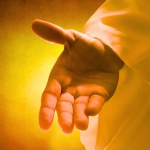 Serenidade ao Entardecer