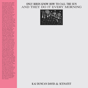 A Banana Peel on the Floor Instrumental