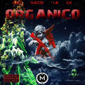 ORGÁNICO