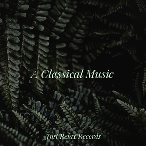 Mossy Memories at Dusk