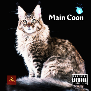 Main Coon