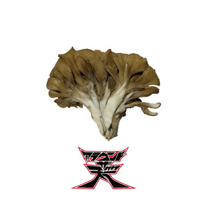 好きな女の子からLINEがきた！！！