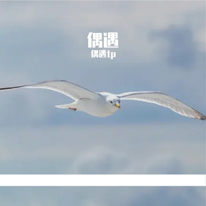 只留下我一个人心憔悴