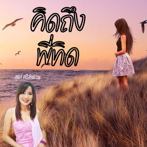 คิดถึงพี่ทิด