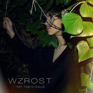 Wzrost