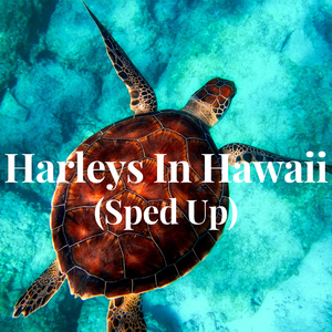 Harleys In Hawaii - (Sped Up)