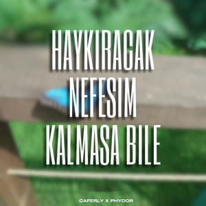 Haykıracak Nefesim Kalmasa Bile
