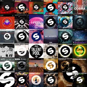 Spinnin' Records 2019 EDM Set(Continuous Mix)