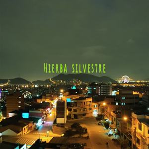 Hierba Silvestre