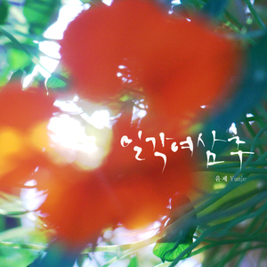 외갓집, 동화의 씨앗