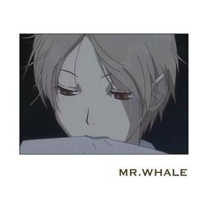 ᴍʀ.ᴡʜᴀʟᴇ